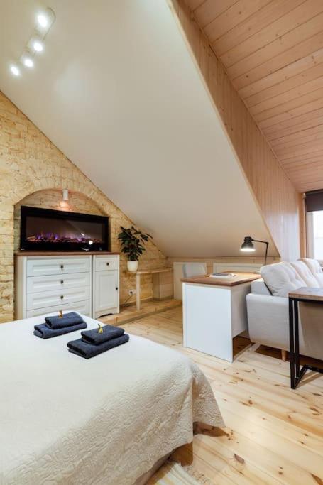 Luxury Apartment In Gedimino Av. Wilno Zewnętrze zdjęcie